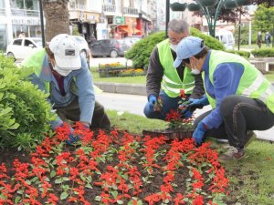 Sinop 40 bin çiçekle güzelleşiyor