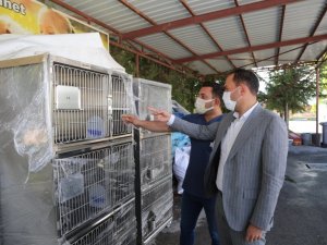 Niğde Belediyesi’nden Sokak Hayvanları İçin Yeni Yatırım