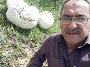 7 kiloluk dev mantar görenleri şaşırttı