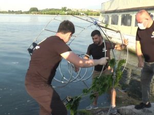 Gençlerin projesi denizi temizleyerek canlı popülasyonunu arttıracak