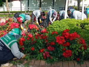 Ekipler daha yeşil bir Süleymanpaşa için çalışıyor