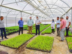 Ceylanpınar, Bitki Üretim Serası ile ile güzelleşiyor