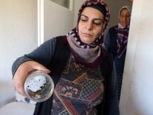 Evlerini akrepler bastı, hayatları kabusa döndü