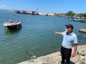 Ordu’daki ’deniz salyası’ iddialarına yalanlama