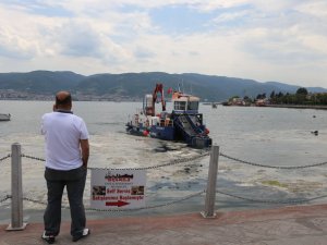 İzmit Körfezi’nde deniz salyası seferberliği