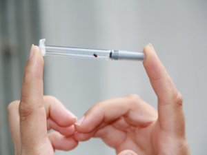 Bu hatalar öldürebilir: Kene ısırırsa bunu yapmayın