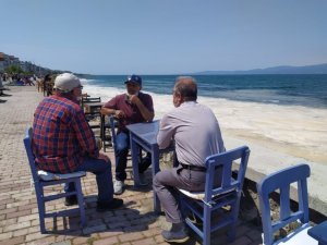 Bursa’da müsilaj manzaralı sahil keyfi