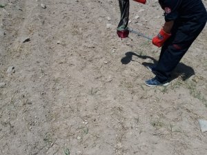 Ev sahiplerine korku yaşatan yılanı itfaiye ekipleri yakaladı