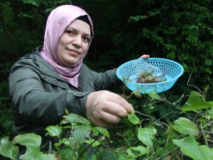 Dikenlerin arasından gelen lezzet: Kırçan