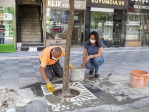 Akdeniz’de kaldırımlar yenileniyor, ağaç diplerine kompozit ızgara yerleştiriliyor