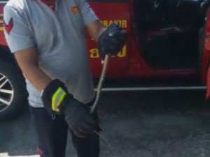Diyarbakır’da itfaiye ekipleri, araca giren yılanı doğaya bıraktı