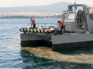 MSB: “Gölcük Poyraz Limanı’nda, 7 Haziran’da müsilaj temizleme faaliyetlerine başlanmıştır”