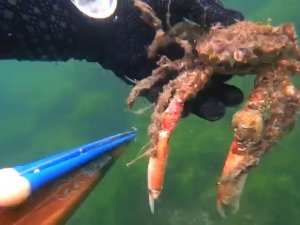 İzmit Körfezi’nin dibinde ürperten görüntüler