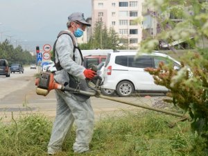 Bozüyük yaza yemyeşil girecek