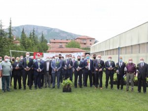 Tokat’ta 60 bin tüplü asma fidanı dağıtıldı