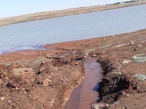 Balıklar için kuyudan gölete kanal açtılar