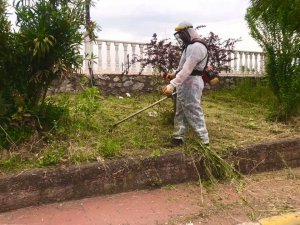Daha yeşil bir Gülüç için ekipler seferber oldu