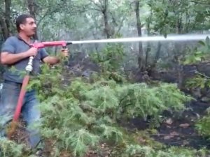 Elazığ Valiliği: “Yangın, ekiplerimizin yoğun çalışmaları sonucu kontrol altına alınmıştır”