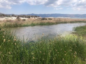 Burdur Çevre ve Şehircilik İl Müdürü Alacatlı: "Salda Gölü’nde herhangi bir kirlilik söz konusu değildir"