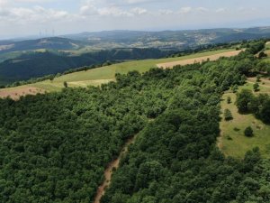 Nilüfer’e güneş enerjisi santrali...