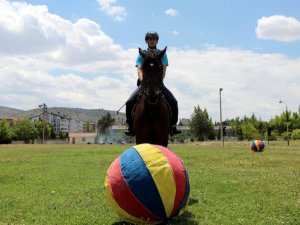 Futbolcuları aratmayan at