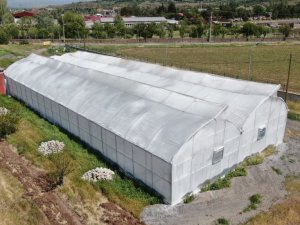 Bu sera hem öğretiyor, hem de ata tohumu çoğaltıyor