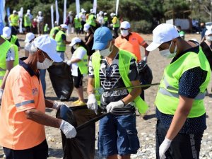 Büyükşehirden carettaların yuvalama alanında temizlik
