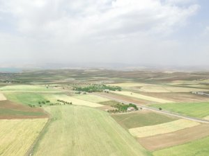 DSİ Genel Müdürü Yıldız,’ “Elazığ’da 185 bin 900 dekar tarım arazisi sulanacak"