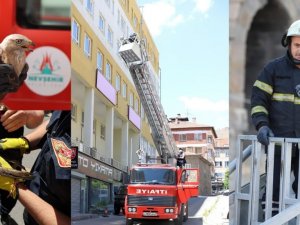Nevşehir’de itfaiye ekipleri 1 yılda 220 hayvanı kurtardı