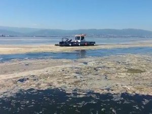 İzmit Körfezi’nde deniz salyası ile mücadele devam ediyor