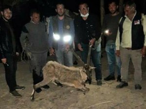 Bitkin halde bulup at sırtında taşıdılar