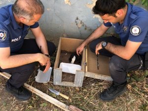 Ayağı kırılan yavru kedinin yardımına polisler yetişti