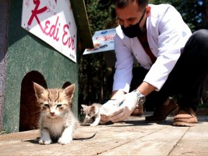 Canik can dostlarına sahip çıkıyor