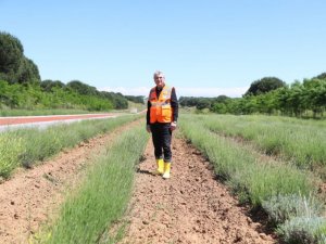 Botanik Vadisinde Susam Ve Çörek Otu toprakla buluştu