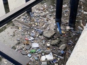 Limana yürüyüşe geldiler, gördükleri manzara karşısında şoke oldular