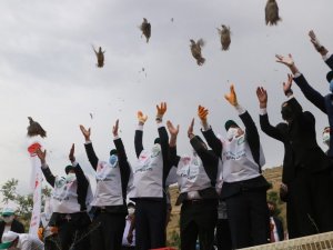 Keneyle mücadelede etkin rol oynayan keklikler, doğaya salındı