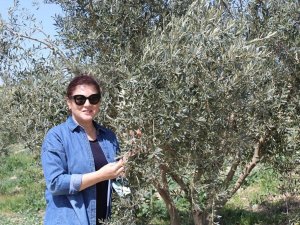 Sağlıklı bireyler için doğal beslenmeyi seçin