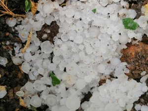 Mersin’de dolu yağışı sebze ve meyveyi vurdu