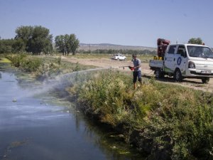 Kütahya’da sinek ve haşereyle mücadele