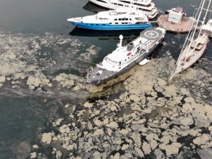 Sıcaklar ile müsilaj tehlikesi büyüyecek