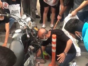 Yılan motosikletle şehre geldi