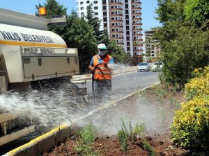 Kilis’te park refüj ve bulvarların bakımları yapılıyor