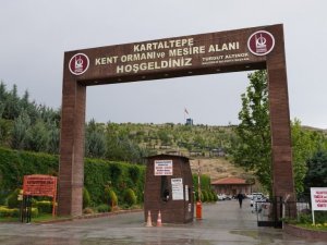 Kartaltepe yeni yüzüyle piknikçileri bekliyor