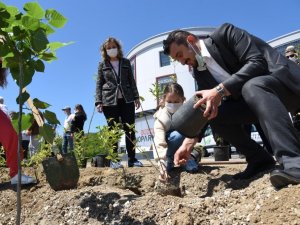 Düzce Teknopark’ta fidanlar toprakla buluştu