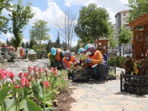 Park ve yeşil alanlara yaz bakımı yapılıyor
