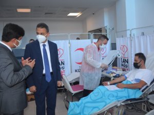 Sinop Valisi: “Kana çok ihtiyacımız var”