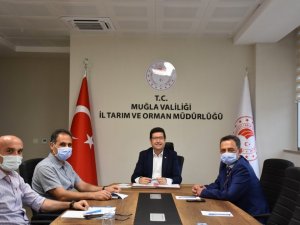 Sahipli kedi ve köpeklere pasaport