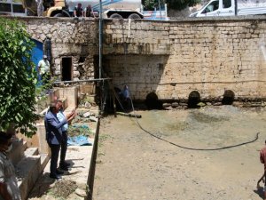 Hani Ayn-Kebir Parkında temizlik çalışması