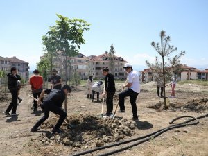 173 fidan toprakla buluştu