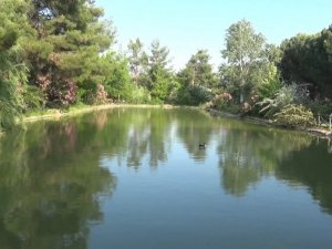 Botanik bahçe 300 bitkiye ev sahipliği yapıyor